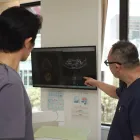 審美歯科